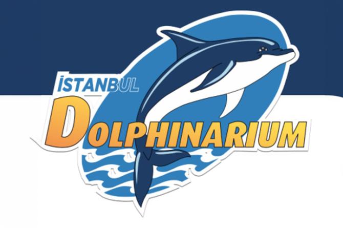 İstanbul Dolphinarium’da Yunuslarla Özel Yüzme Programı ve Gösteriler