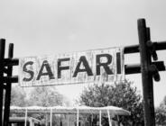 Marmaris At Safari: Doğayla İç İçe Unutulmaz Bir Macera