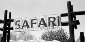 Marmaris At Safari: Doğayla İç İçe Unutulmaz Bir Macera