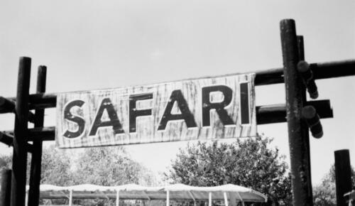 Marmaris At Safari: Doğayla İç İçe Unutulmaz Bir Macera