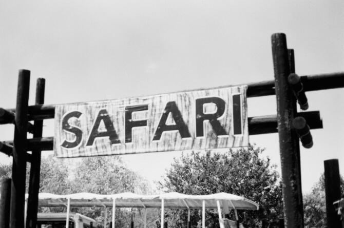 Marmaris At Safari: Doğayla İç İçe Unutulmaz Bir Macera